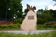 312699.jpg