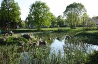 33935363.jpg 33935363.jpg