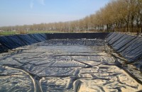 laguna1 (Niestandardowy).jpg laguna1 (Niestandardowy).jpg